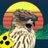 BlindHawkTV