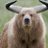 Bull_Bear_Luck