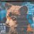 baer_001